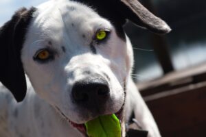 Gbfb92248880a870df81605665ce5728e680d6551073f008779acd00008a7d16f78c7995055c3b7c7c967a233856e6440 640